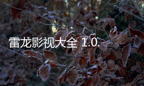 雷龙影视大全 1.0.1下载