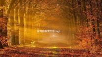 雀魂麻将官方版majsoul