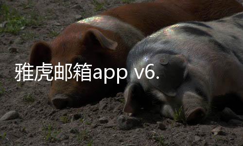 雅虎邮箱app v6.49.1安卓版