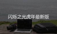 闪烁之光虎年最新版