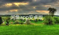 闲鱼app安卓版