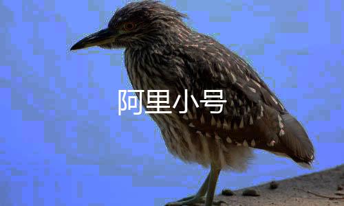 阿里小号下载