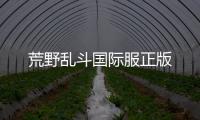 荒野乱斗国际服正版