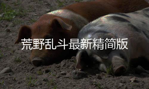 荒野乱斗最新精简版