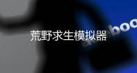 荒野求生模拟器