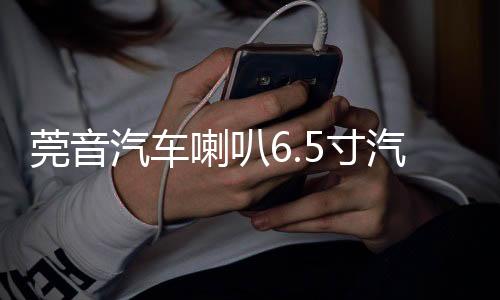 莞音汽车喇叭6.5寸汽车同轴喇叭发烧车载i汽车音响喇叭改装升级下载