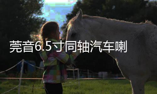 莞音6.5寸同轴汽车喇叭发烧hifi中低音车载汽车音响改装套装喇叭下载