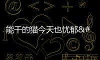 能干的猫今天也忧郁〜能干的猫拼图也在行