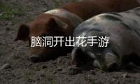 脑洞开出花手游