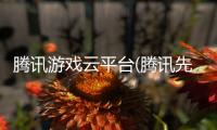 腾讯游戏云平台(腾讯先锋)