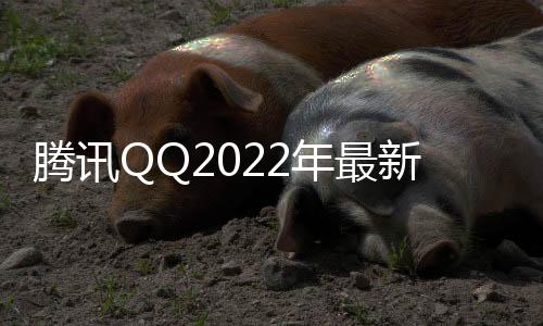 腾讯QQ2022年最新版下载