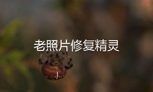 老照片修复精灵下载