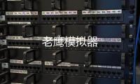 老鹰模拟器