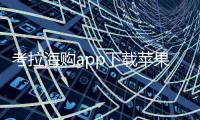 考拉海购app下载苹果