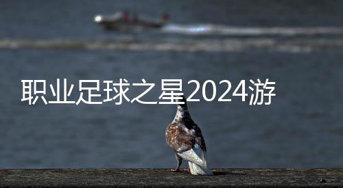 职业足球之星2024游戏下载