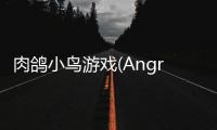 肉鸽小鸟游戏(AngryBirds rougelike)