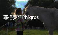 菲格罗斯Phigros2024鸽游