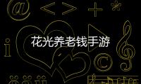 花光养老钱手游