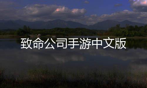 致命公司手游中文版下载