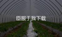 臣服于我下载