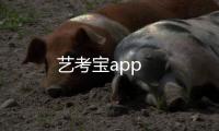 艺考宝app