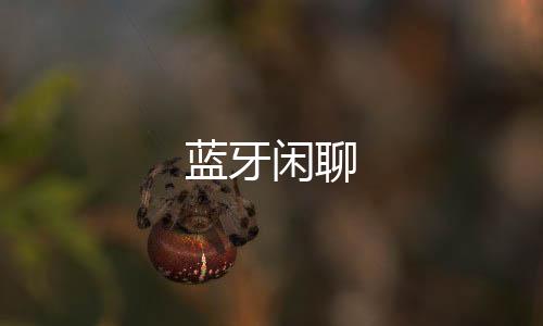 蓝牙闲聊下载
