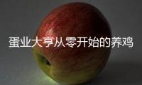蛋业大亨从零开始的养鸡传奇游戏