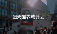 蛋壳猫养成计划