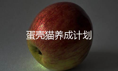 蛋壳猫养成计划下载