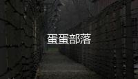 蛋蛋部落