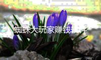 蜘蛛大玩家赚钱软件