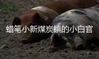 蜡笔小新煤炭镇的小白官方正版