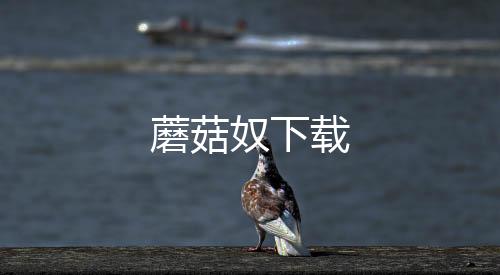 蘑菇奴下载下载