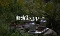 蘑菇街app