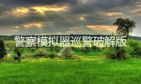 警察模拟器巡警破解版