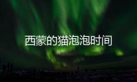 西蒙的猫泡泡时间