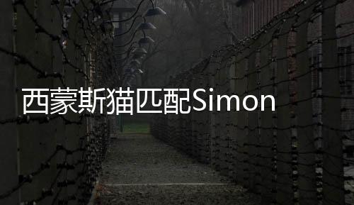 西蒙斯猫匹配SimonsCat Match金币不减下载