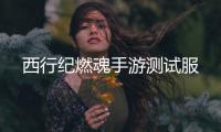 西行纪燃魂手游测试服