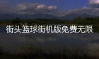 街头篮球街机版免费无限币