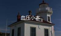 血压小本
