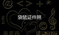 袋鼠证件照