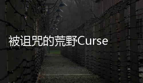 被诅咒的荒野Cursed Wilderness下载