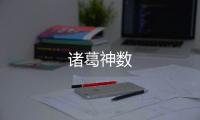 诸葛神数