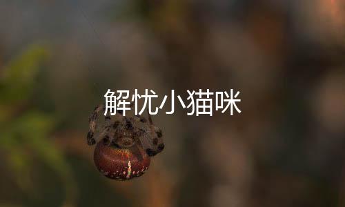 解忧小猫咪下载