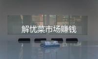 解忧菜市场赚钱