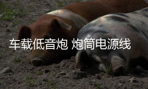 车载低音炮 炮筒电源线 遥控器 延长线 点烟器电源线配件下载