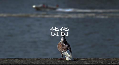 货货下载