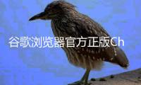 谷歌浏览器官方正版Chrome