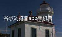 谷歌浏览器app手机官方版Chrome