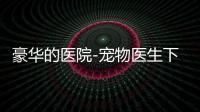 豪华的医院-宠物医生下载
